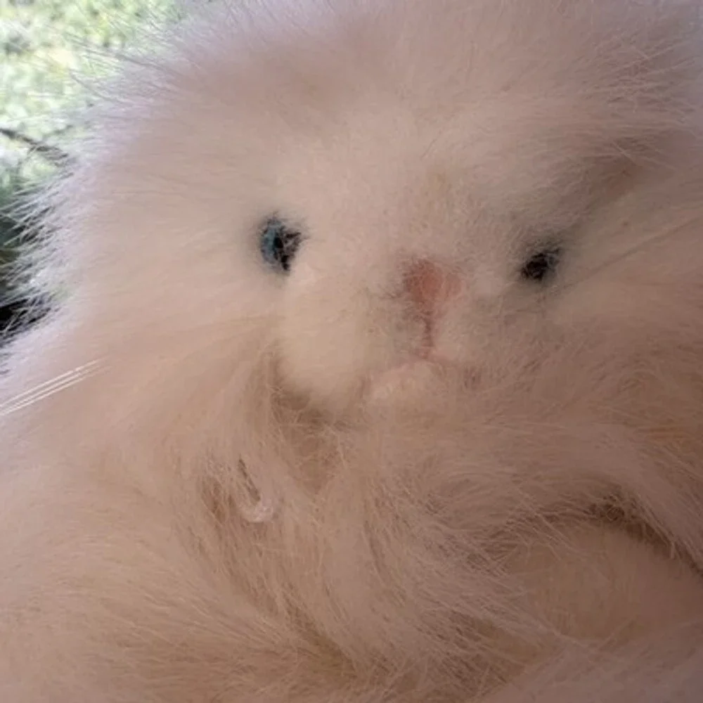 VNTG1992-93Kitty Kitty Kittens Snowball Fluffy Lying Down NoTags Blue Eyes